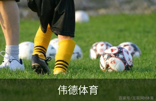 关于伟德体育